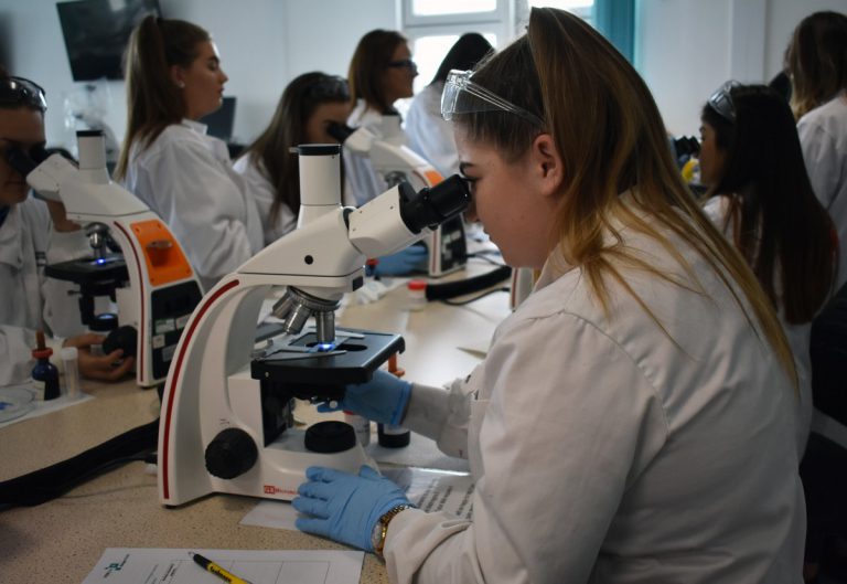 DSC 0843 Edit 768X529